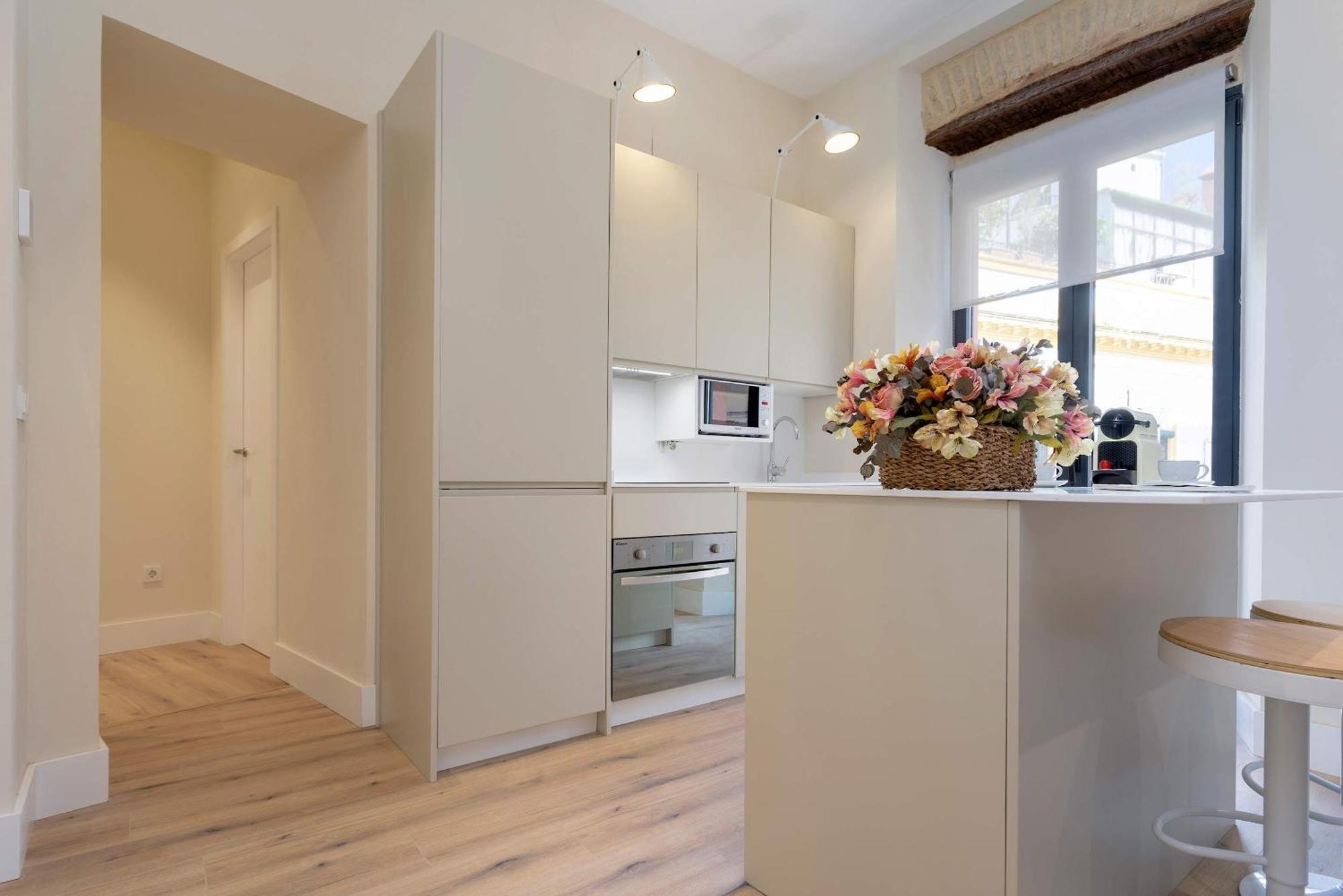 Appartement Genteel Rodrigo Caro Séville